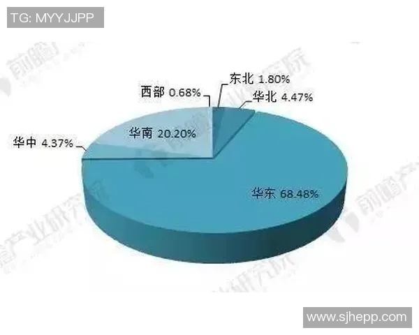 南京羽毛球队战术解析与发展探讨聚焦羽毛球竞技新风潮