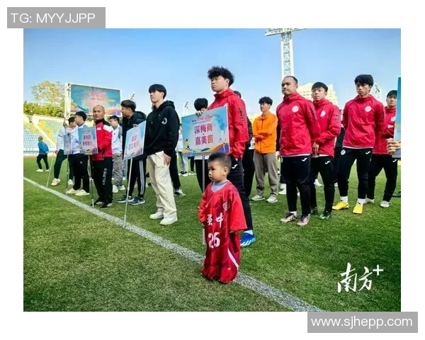 南粤足球明星欧伟的传奇旅程与辉煌成就探秘